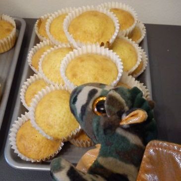 Magdalenki – muffinki cytrusowe