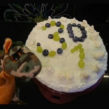 Tort na podwójne urodziny