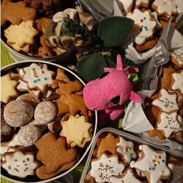 Ciasteczka i ciasta na Święta