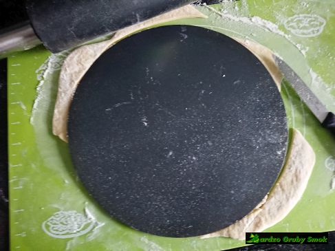 gwiazda bożonarodzeniowa