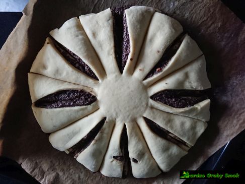 gwiazda bożonarodzeniowa