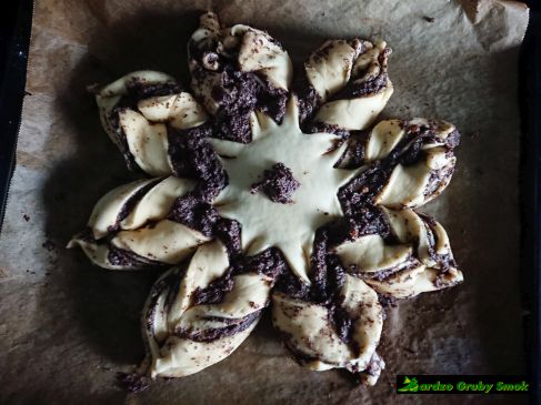 gwiazda bożonarodzeniowa