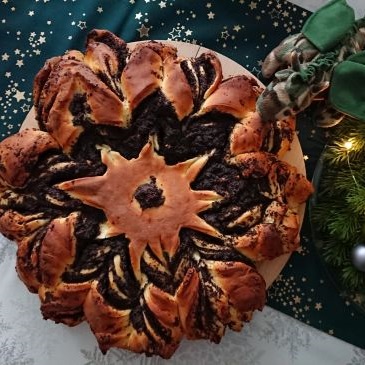 gwiazda bożonarodzeniowa