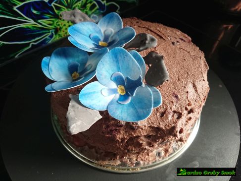 tort kakaowy z galaretką i owocami